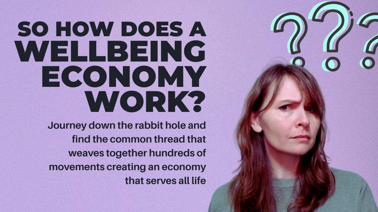 How does a wellbeing economy work? Jessica Friday