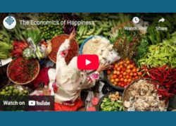 The Economics of Happiness